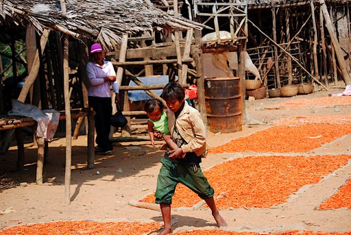 shrimp street in the ma Kong Delta